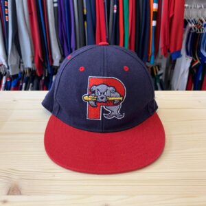 Chicago Bulls Windy City Mitchell & Ness NBA Fitted Hat 7 3/8