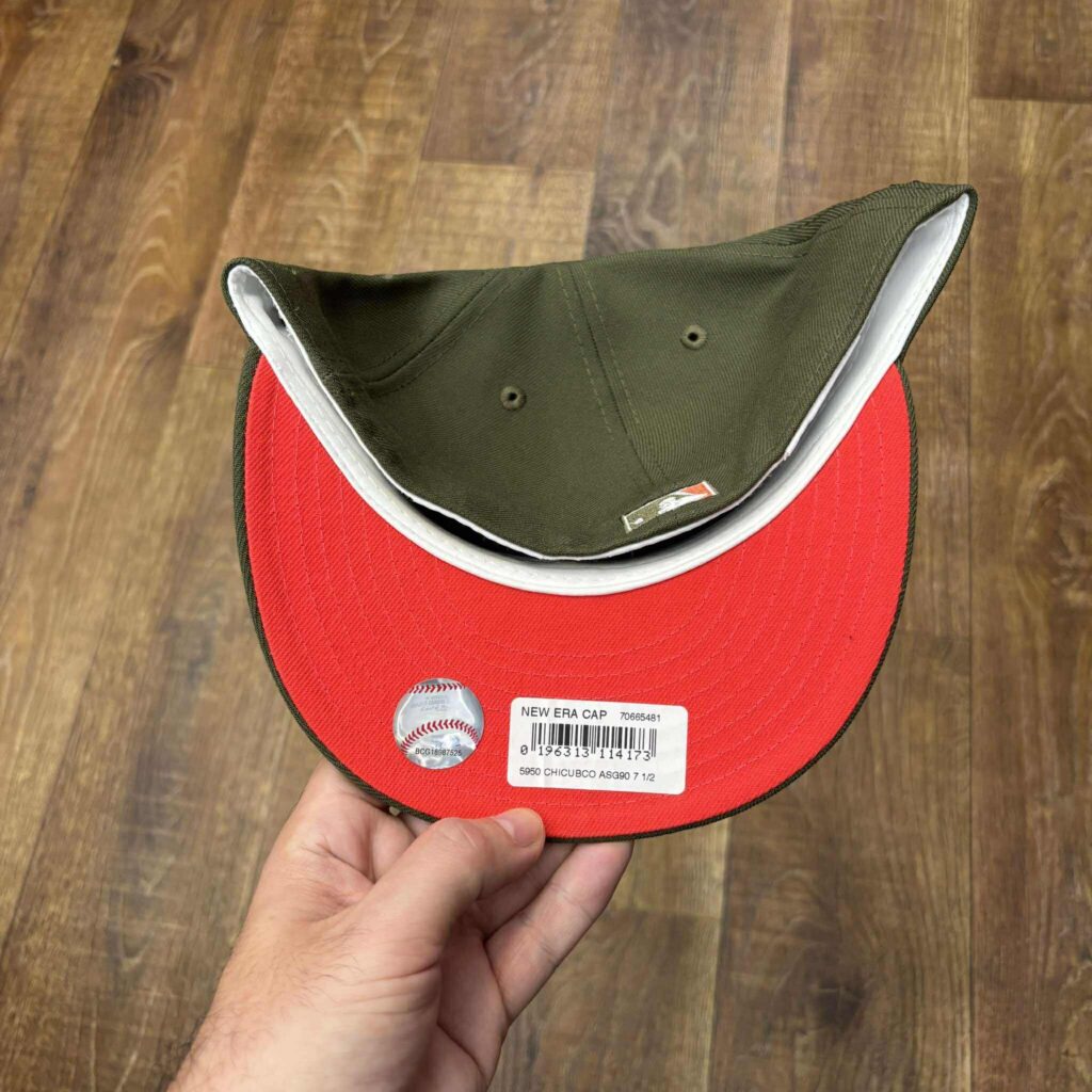 566504549_1312484283471855_1819056055869368389_n